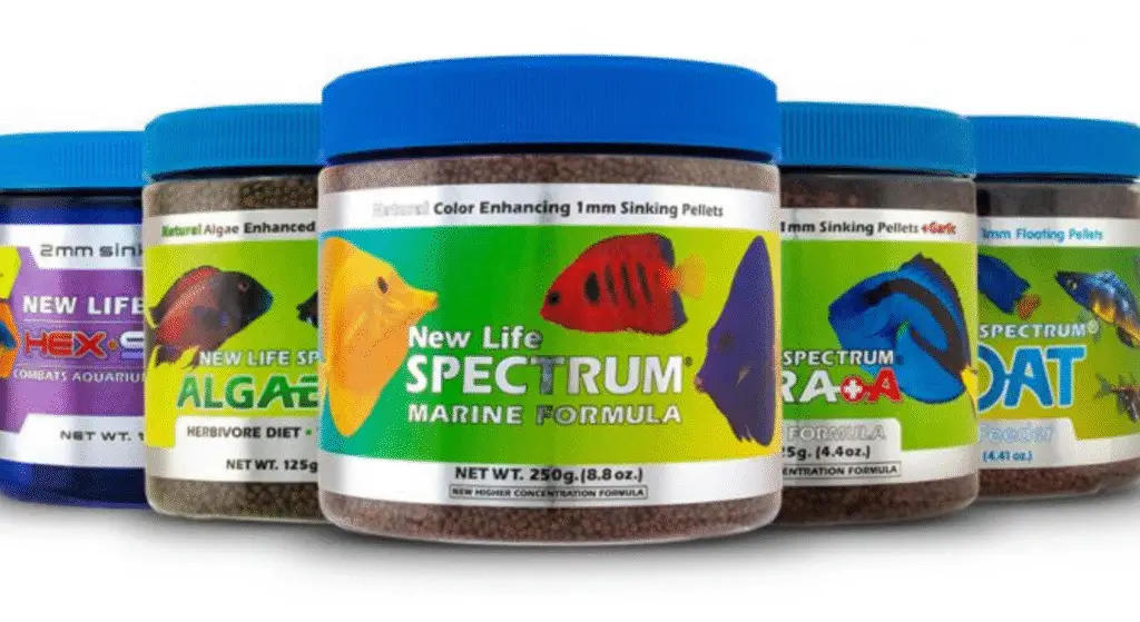 What Saltwater Fish Really Eat: Top Pellets for Marine Life