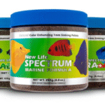 What Saltwater Fish Really Eat: Top Pellets for Marine Life