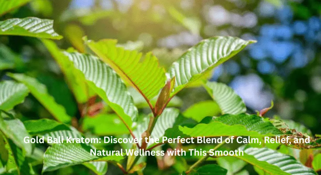 Gold Bali Kratom: Discover the Perfect Blend of Calm, Relief, and Natural Wellness with This Smooth